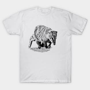 Coati T-Shirt